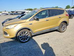 Ford Escape 2014