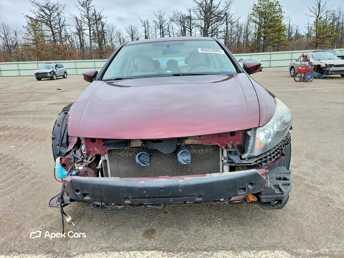 Honda Accord 2010