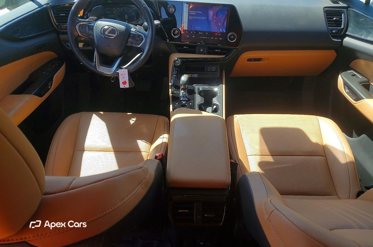 Lexus NX 2024