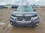 Lexus RX 2010