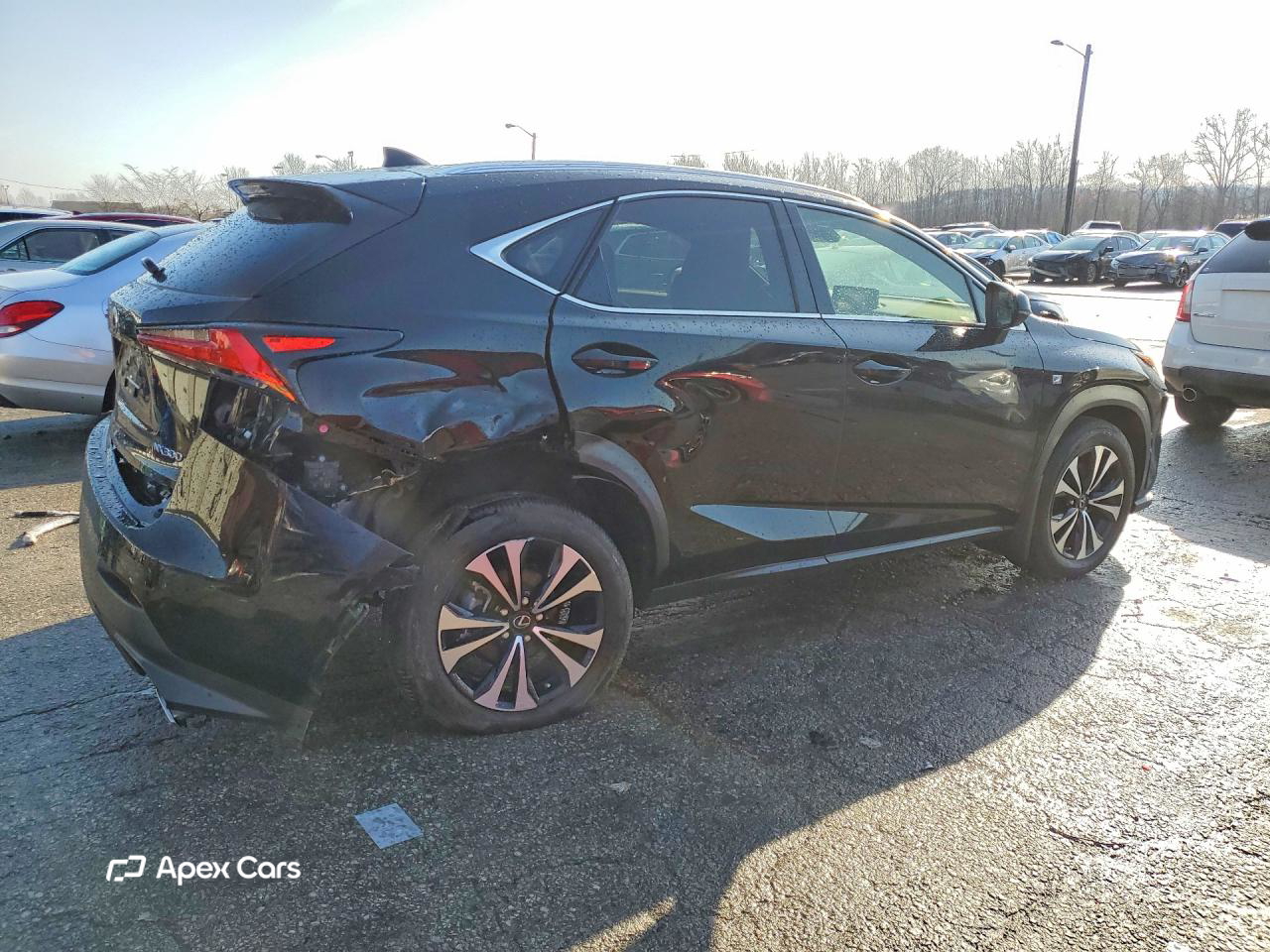 Lexus NX 2021