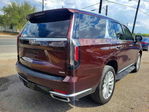 Cadillac Escalade 2023