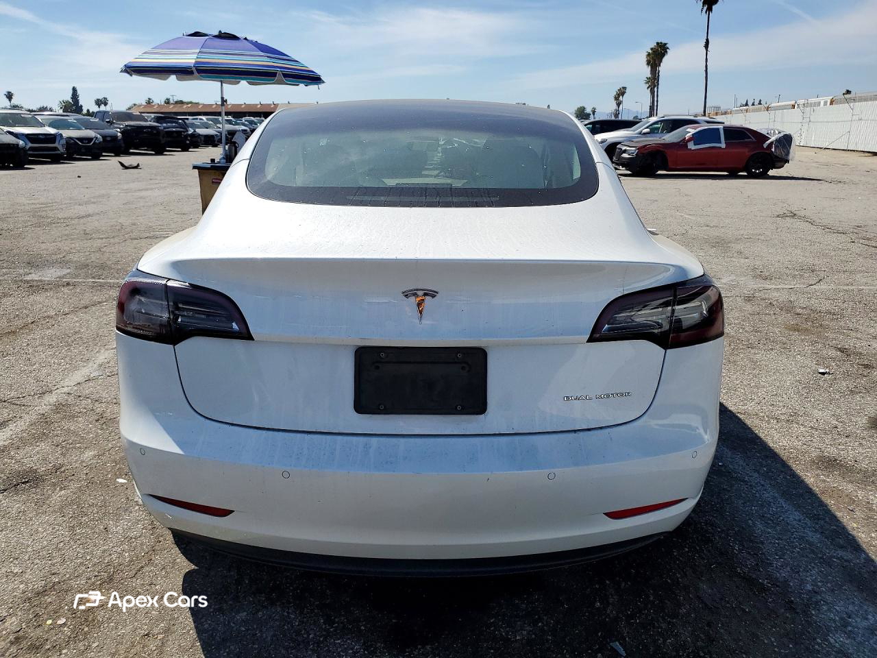 Tesla Model 3 2021