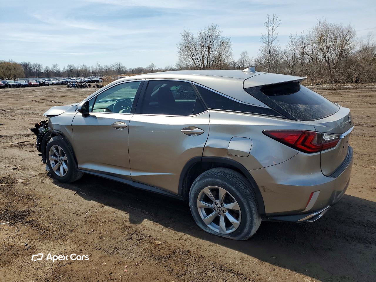 Lexus RX 2019