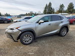 Lexus NX 2021