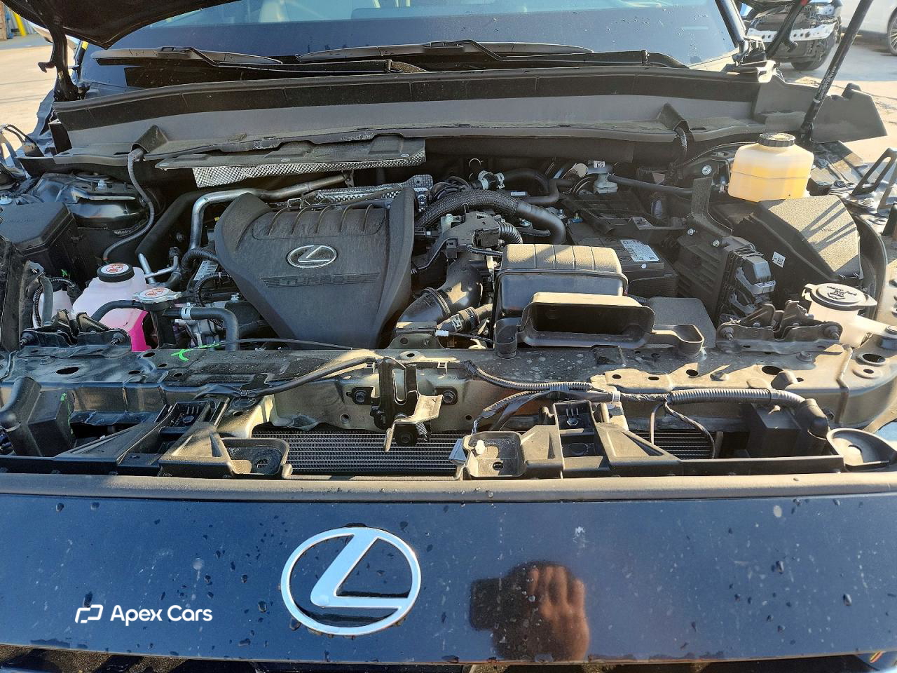 Lexus TX 2025