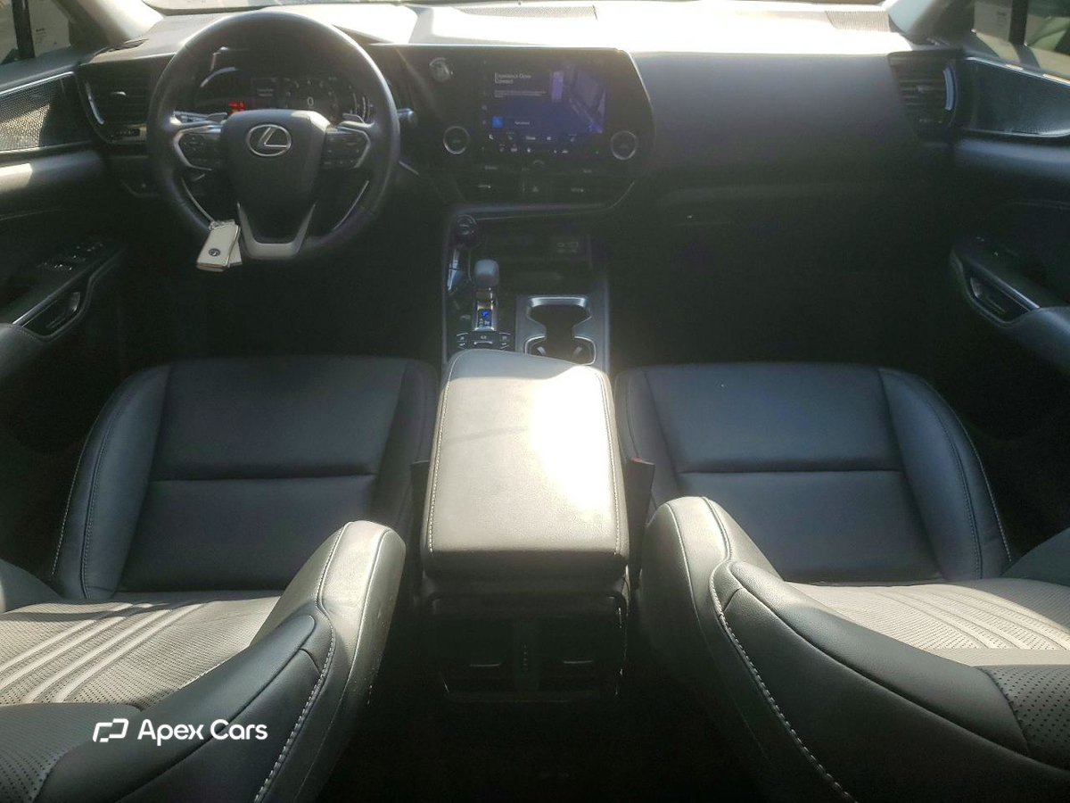 Lexus NX 2024