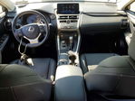 Lexus NX 2020