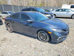 Honda Civic 2021
