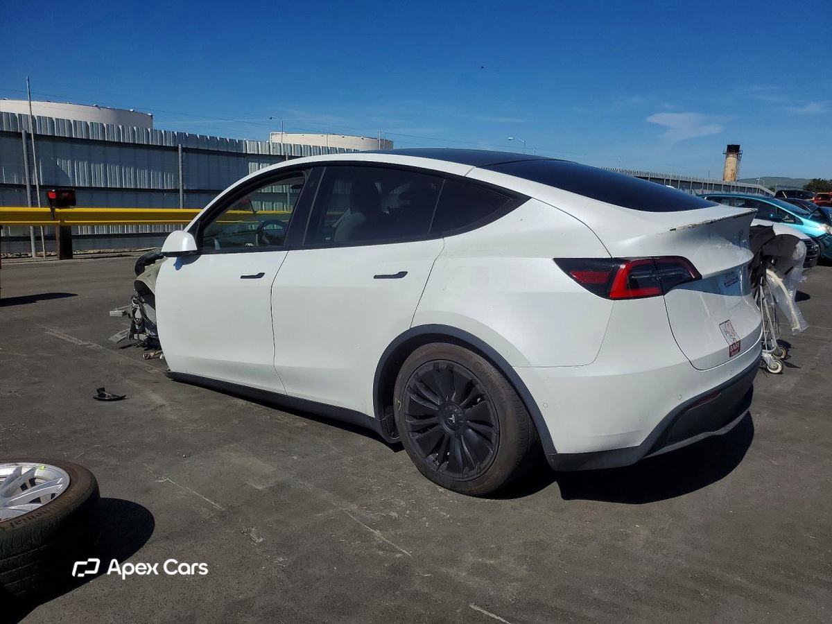 Tesla Model Y 2021