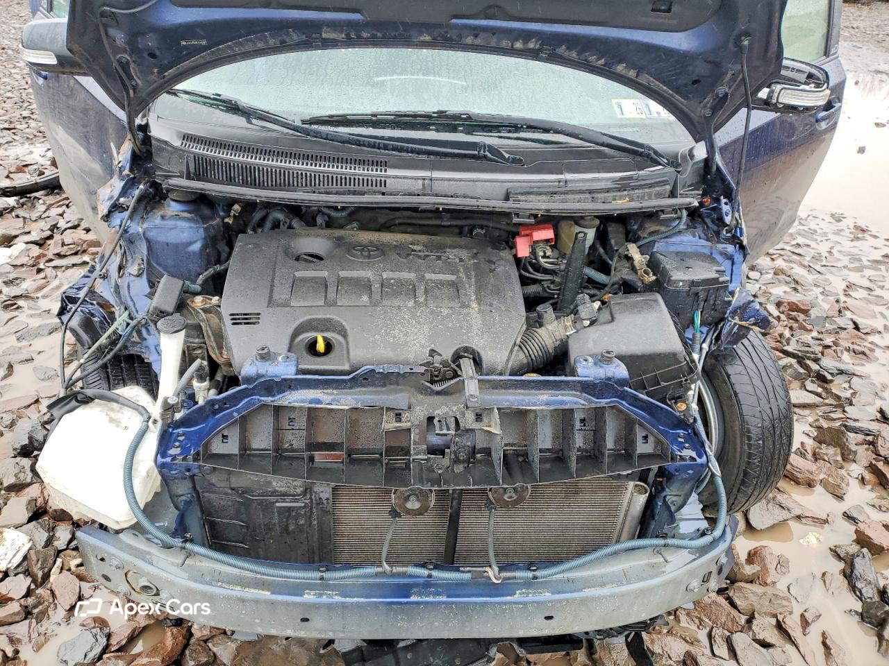 Scion xD 2014