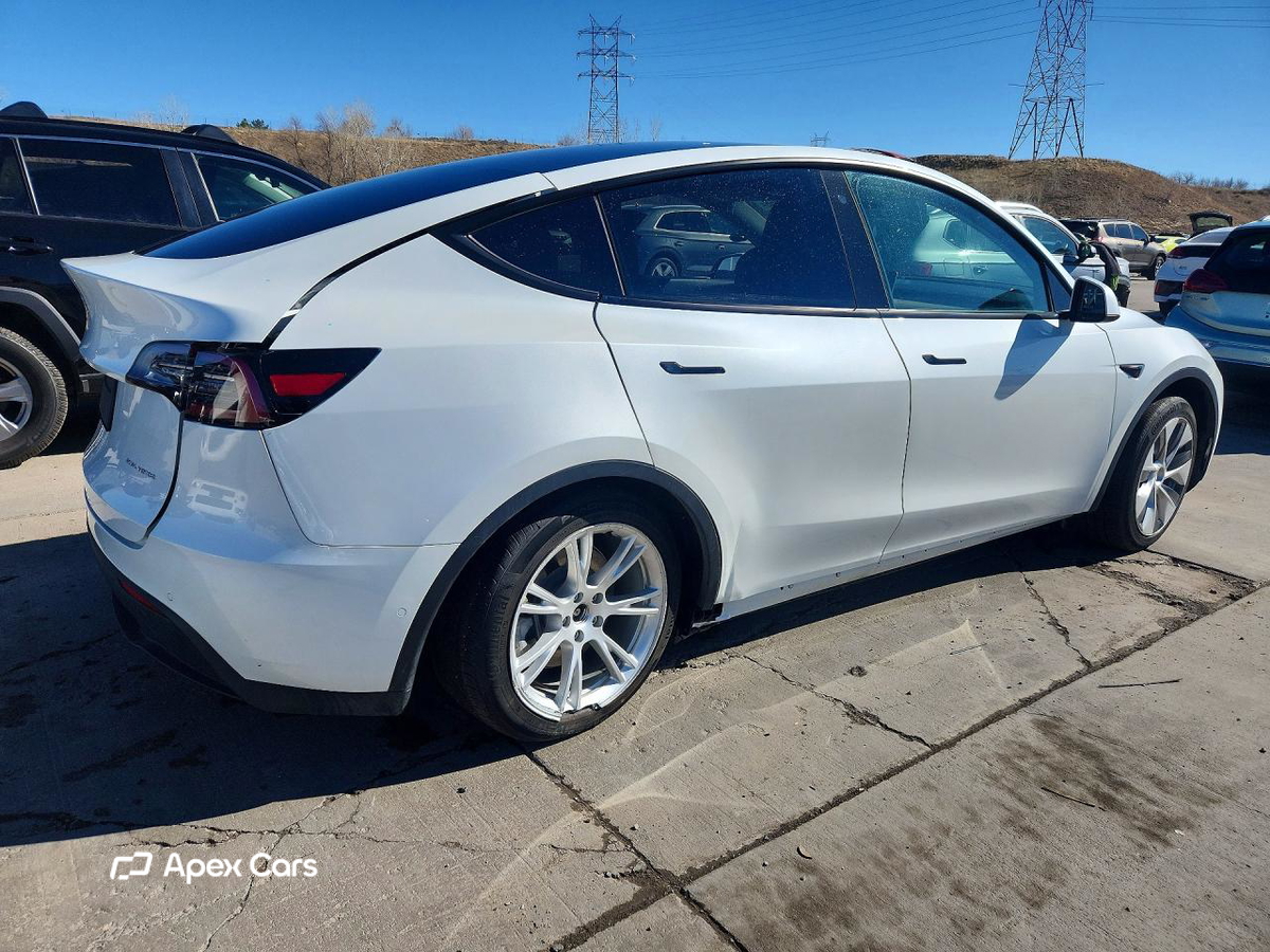 Tesla Model Y 2020