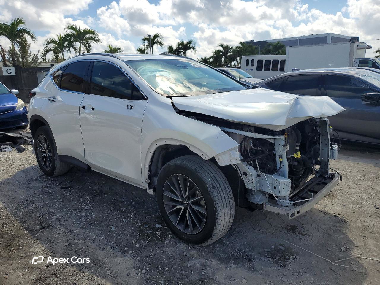 Lexus NX 2022