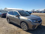 Subaru Forester 2021
