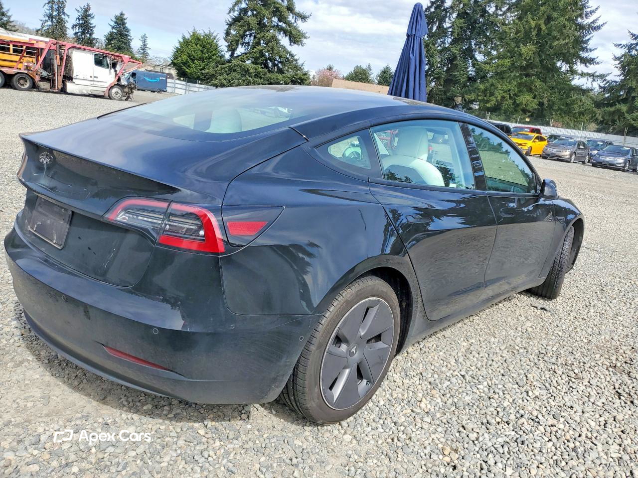 Tesla Model 3 2021