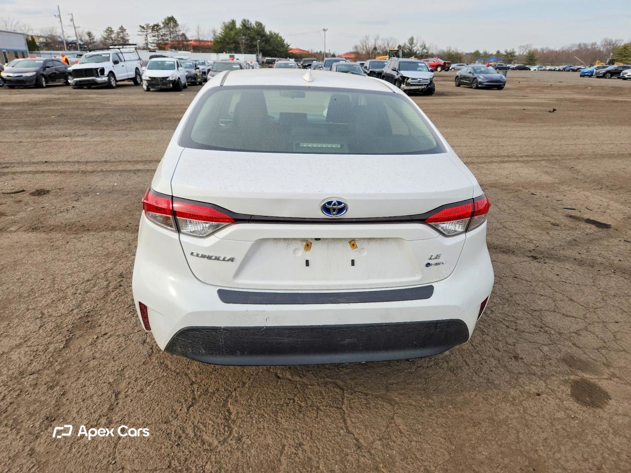 Toyota Corolla 2025