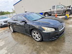 Nissan Maxima 2013