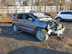 Ford Edge 2024