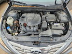 Hyundai Sonata 2013