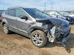 Ford Escape 2014