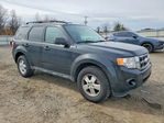 Ford Escape 2012