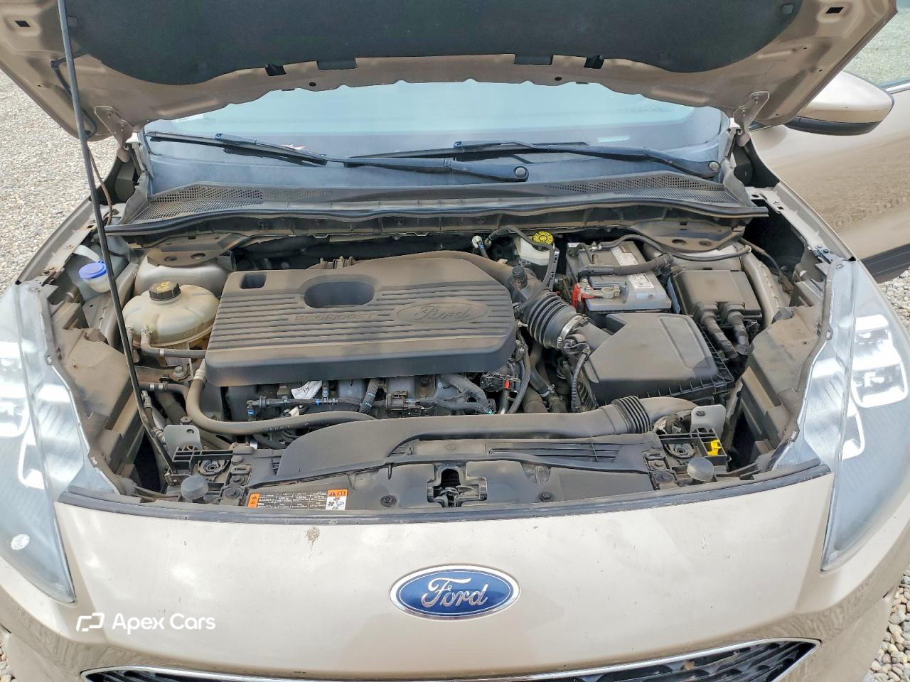 Ford Escape 2020