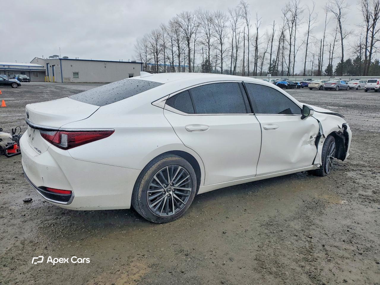 Lexus ES 2023