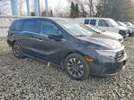 Honda Odyssey 2024