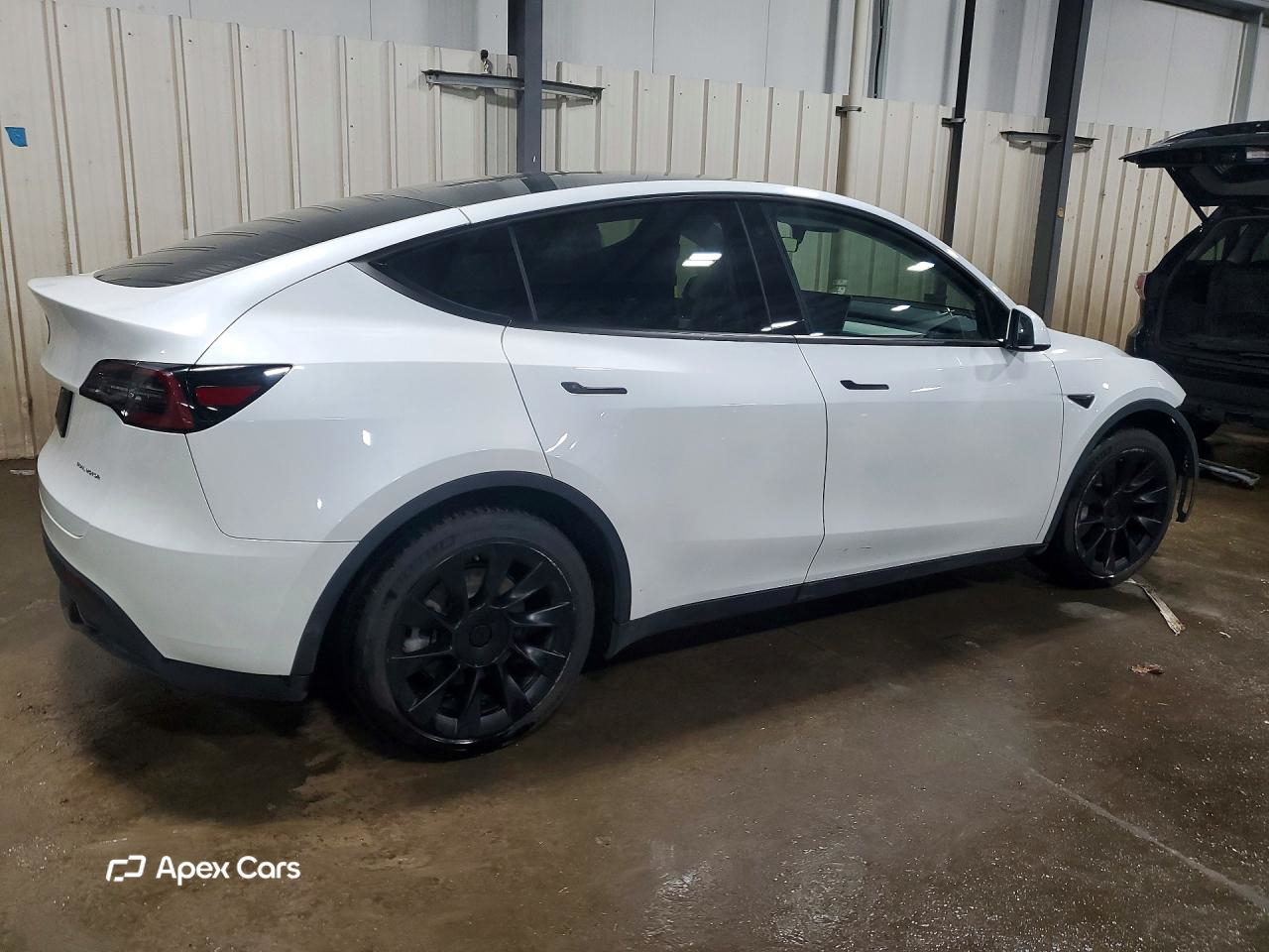 Tesla Model Y 2020