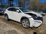 Lexus NX 2017