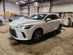 Lexus RX 2024