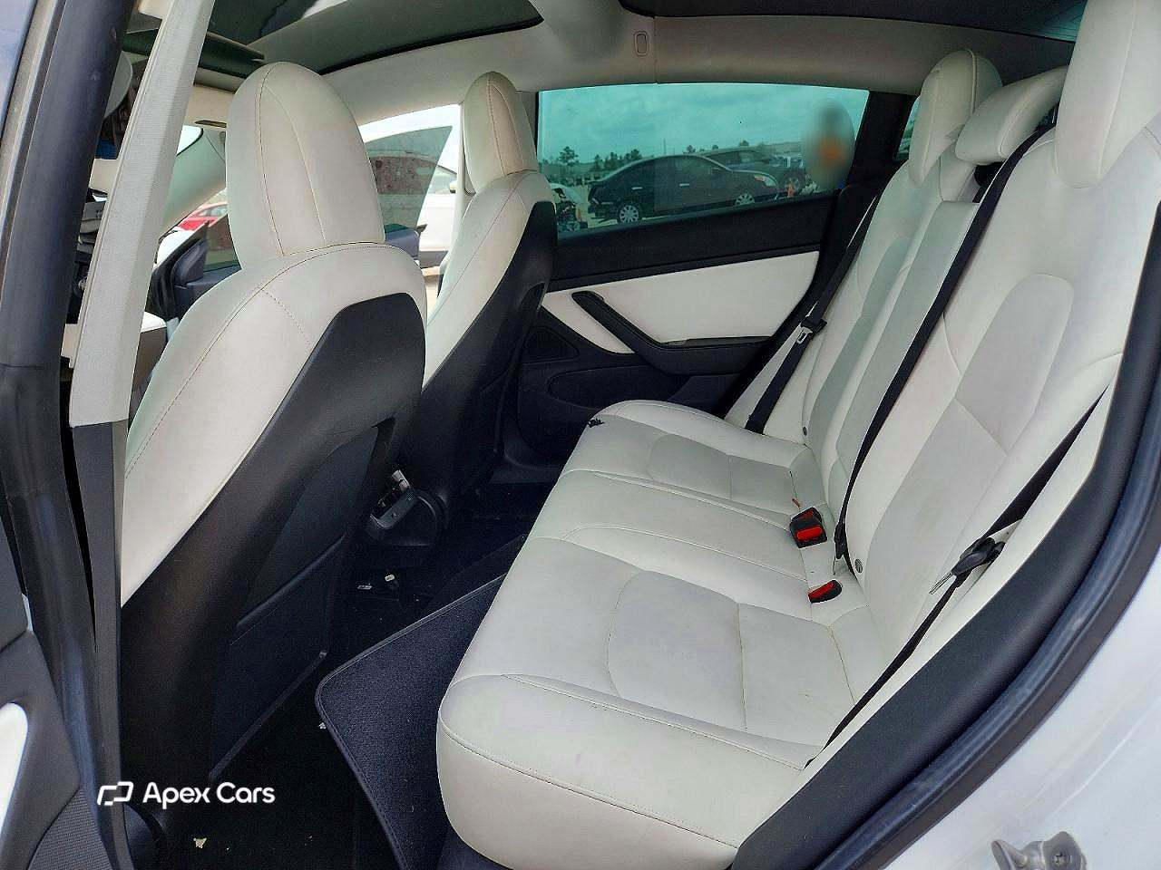 Tesla Model 3 2019