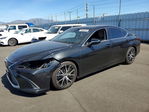 Lexus ES 2020
