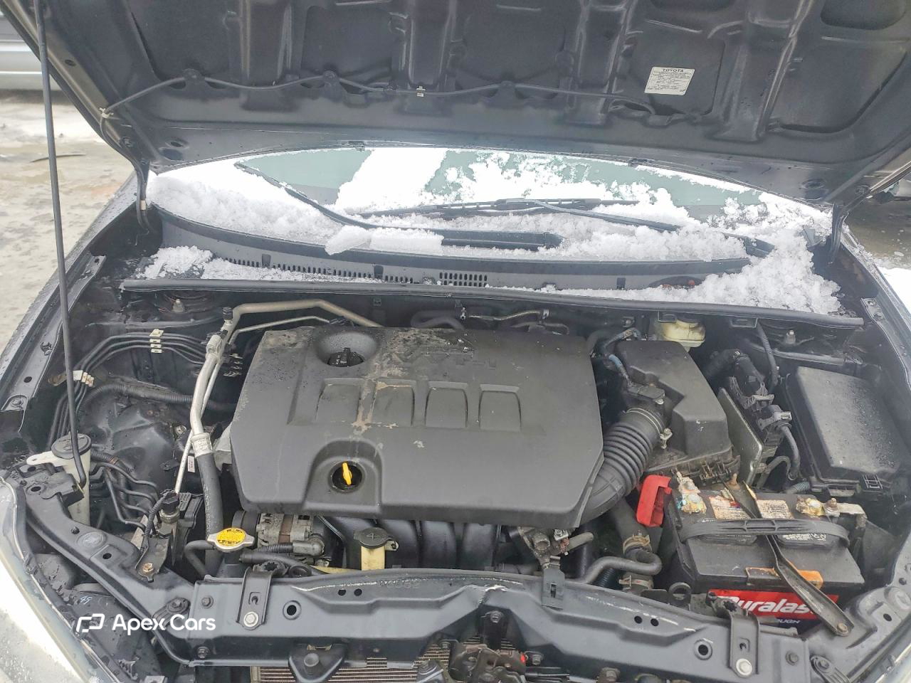 Toyota Corolla 2016