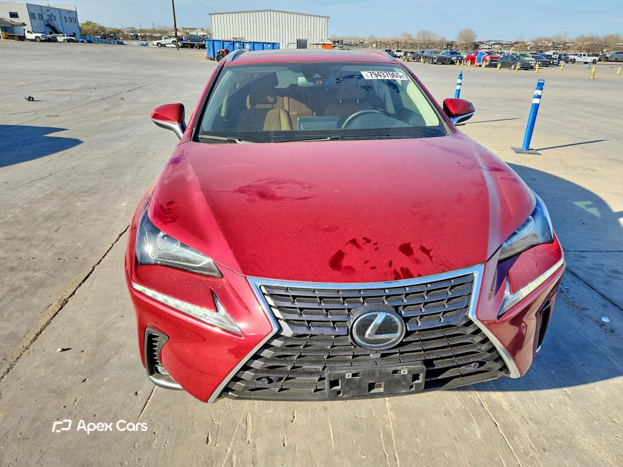 Lexus NX 2021