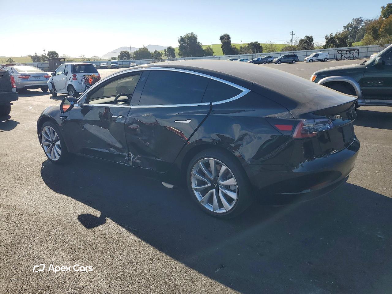 Tesla Model 3 2019