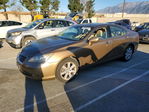 Lexus ES 2007