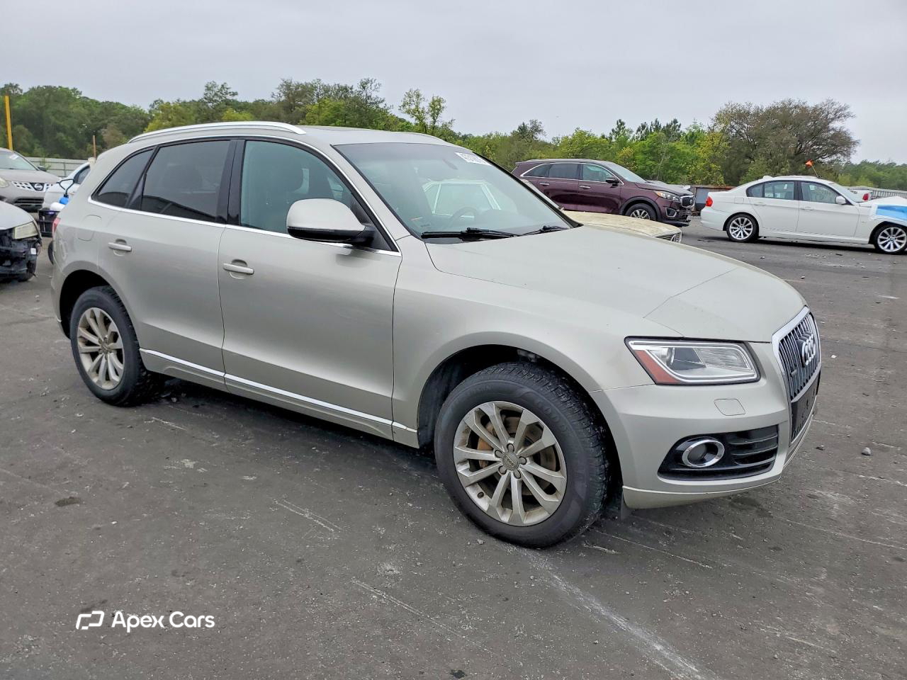 Audi Q5 2013