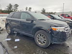 Ford Edge 2013