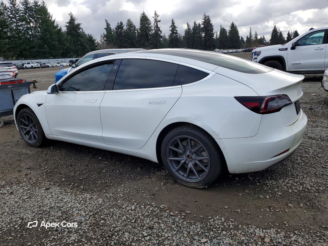 Tesla Model 3 2019