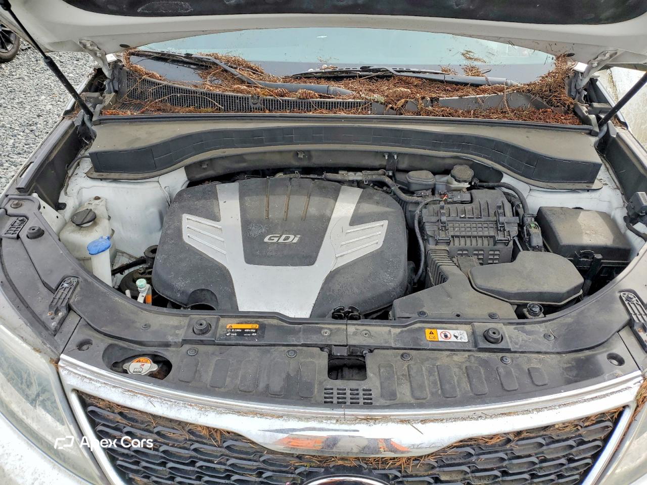 Kia Sorento 2011