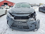 Lexus NX 2025