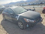 Honda Accord 2008