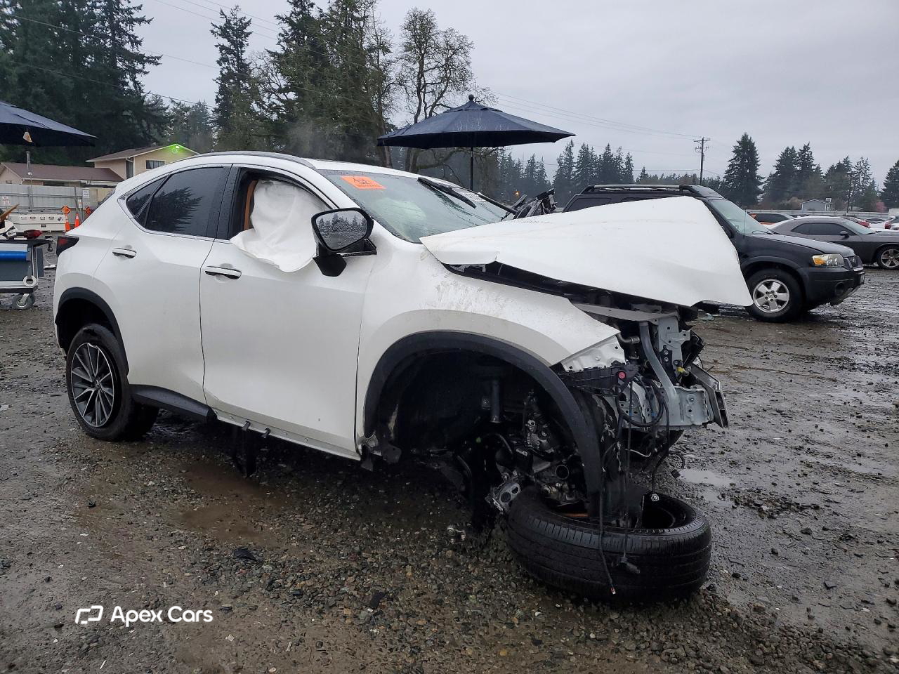 Lexus NX 2024