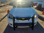 Chevrolet Caprice 2016