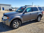 Ford Escape 2010