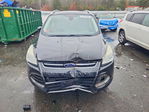 Ford Escape 2015