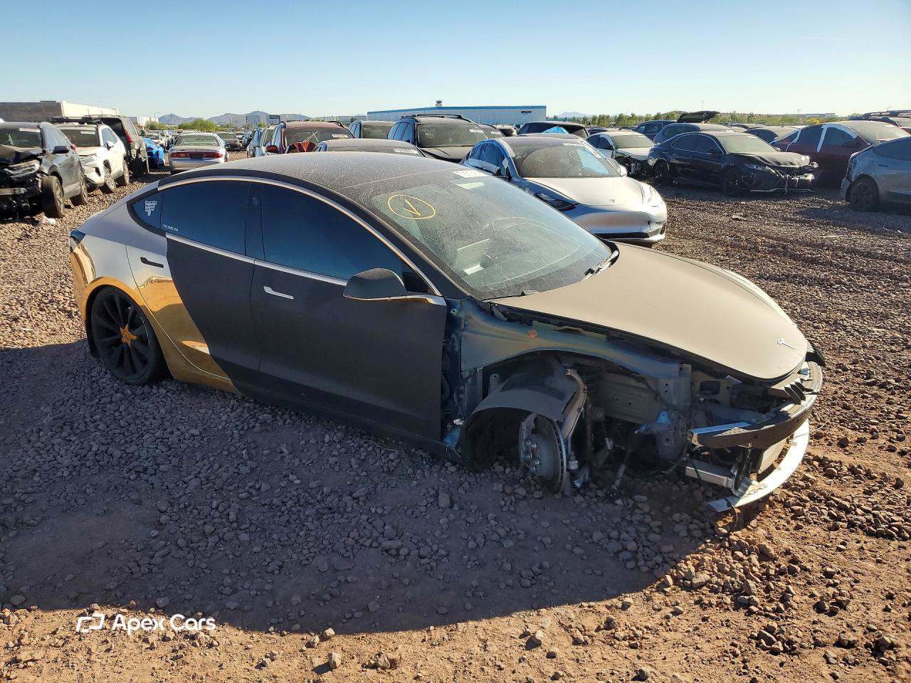 Tesla Model 3 2019
