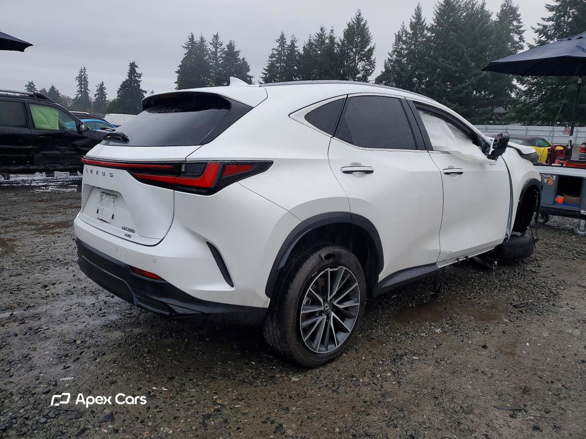 Lexus NX 2024