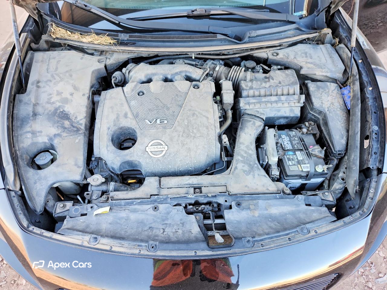 Nissan Maxima 2011